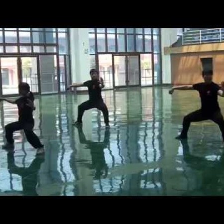 Demos for Wang Xian dashi (Chenjiagou)