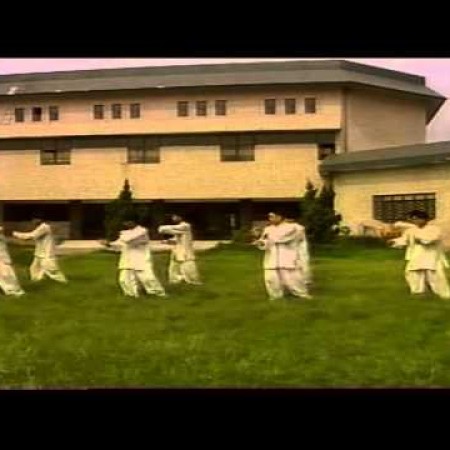Chen Style Tai Chi Cannon Fists by Wang Xian Instructor Group