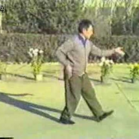 Chen Taijiquan Er Lu (Pao Chui) - Feng Zhiqiang