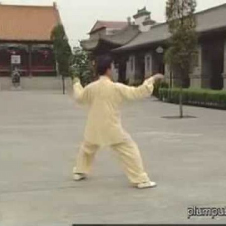 Chen Taiji with Zhu Tian Cai