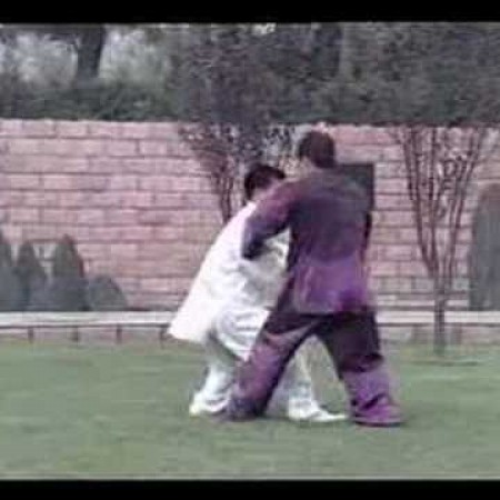 Taiji - Chen Style Kungfu application (Wang Zhanjun)