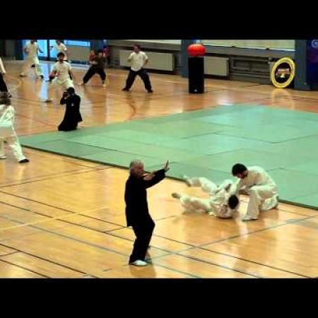 Demo IRAP au festival national de wushu : partie 3